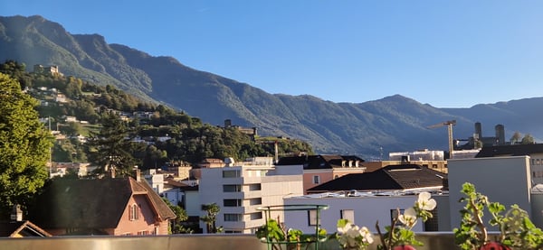 Moderno appartamento 1.5 locali con vista sui castelli di Bellinzona 3
