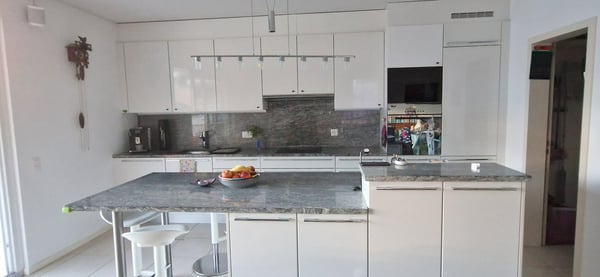 Moderno appartamento 1.5 locali con vista sui castelli di Bellinzona 4