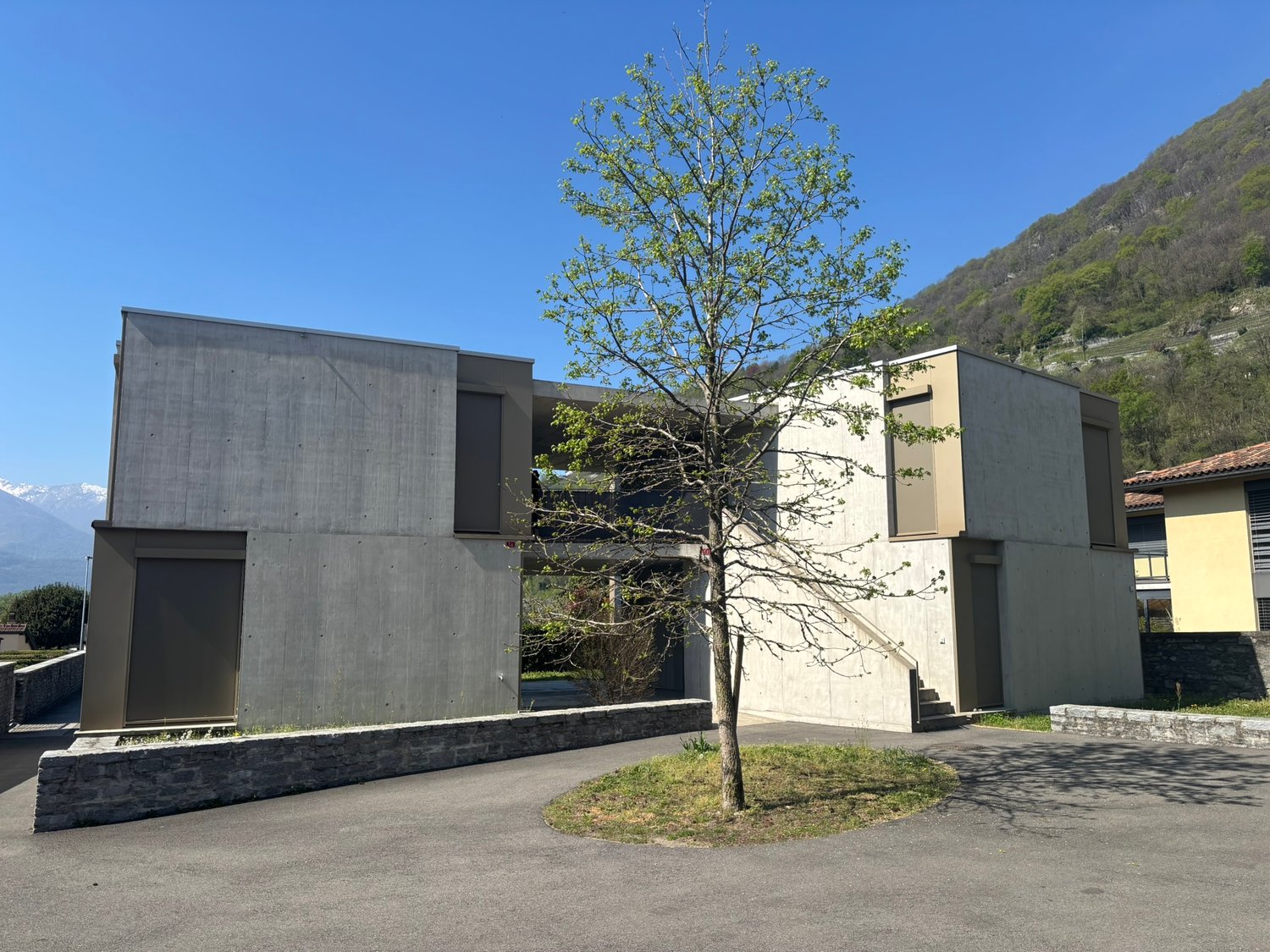 Modern concrete building, two-story, with a driveway, and a tree in the center
