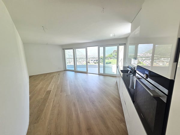 Luminoso appartamento di 4 locali con vista panoramica a Bellinzona 14