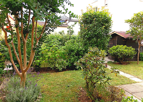 Ampio 2.5 locali con giardino a Giubiasco 6