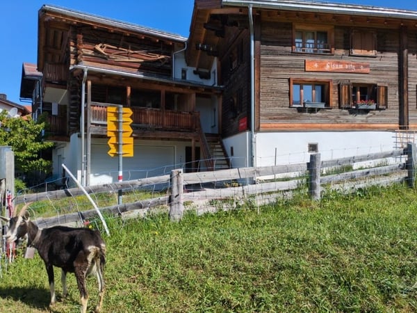 Dachwohnung in idyllischem Feriendorf Feldis/Veulden 1