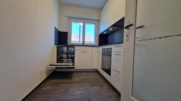 Komplett renovierte 1-Zimmer-Wohnung mit Gartensitzplatz und grossem Bastelraum an sehr ruhiger Lage 6
