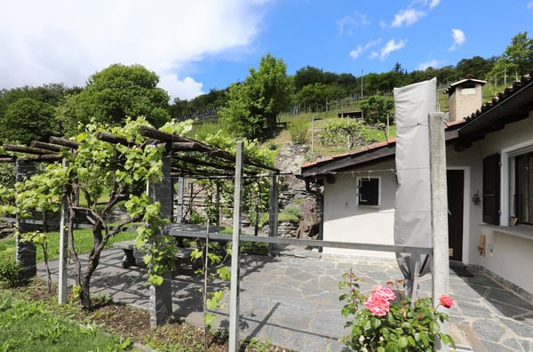 Schönes Rustico in ruhiger Lage und schönem Rebberg in Medeglia 3