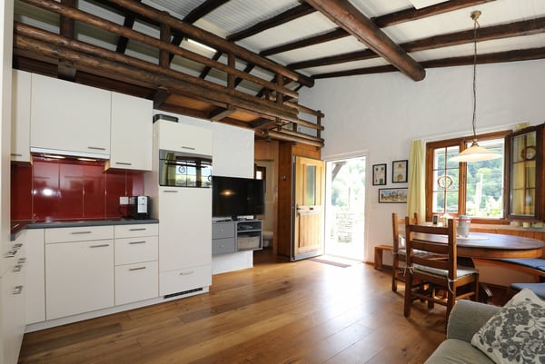 Schönes Rustico in ruhiger Lage und schönem Rebberg in Medeglia 8
