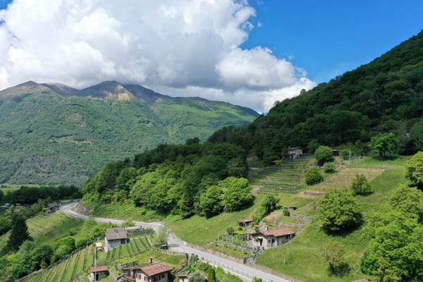 Schönes Rustico in ruhiger Lage und schönem Rebberg in Medeglia 2