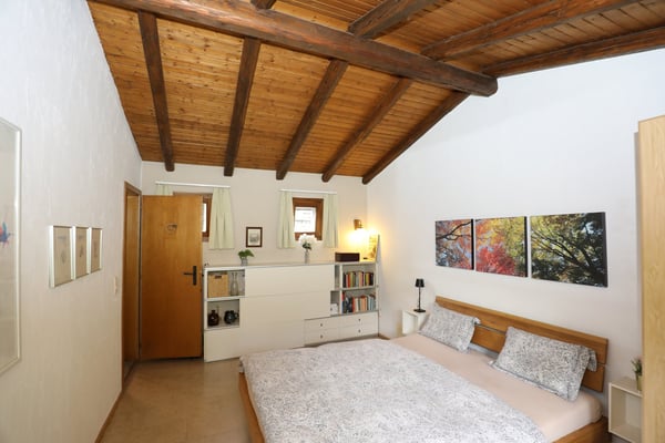 Schönes Rustico in ruhiger Lage und schönem Rebberg in Medeglia 13