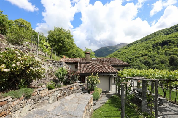 Schönes Rustico in ruhiger Lage und schönem Rebberg in Medeglia 4