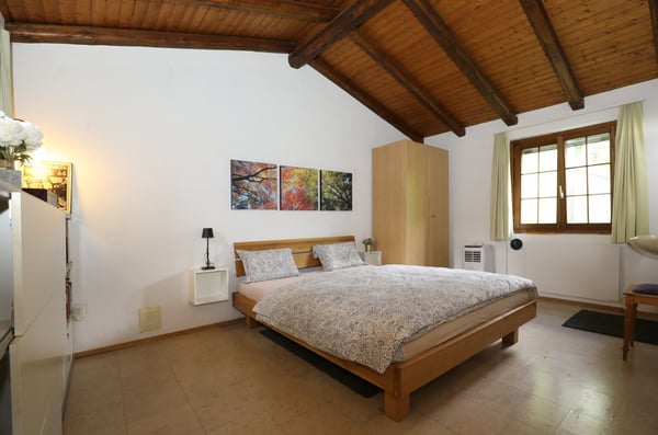 Schönes Rustico in ruhiger Lage und schönem Rebberg in Medeglia 12