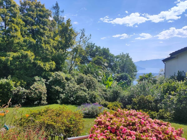 Charmantes Einfamilienhaus in einer sonnigen Lage in Brione s. Minusio 2