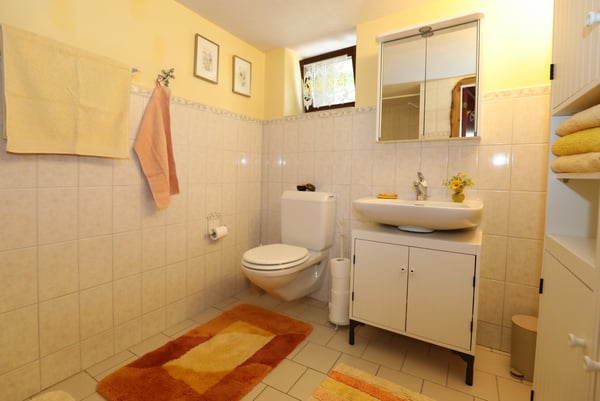 Grosses komfortables Rustico mit schönem Weitblick in Lavizzara 15