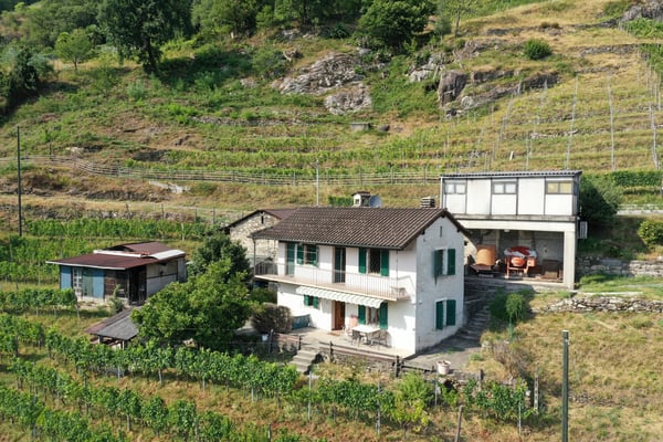 Haus inmitten von Rebbergen und schöner Weitsicht 2