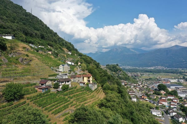 Haus inmitten von Rebbergen und schöner Weitsicht 15