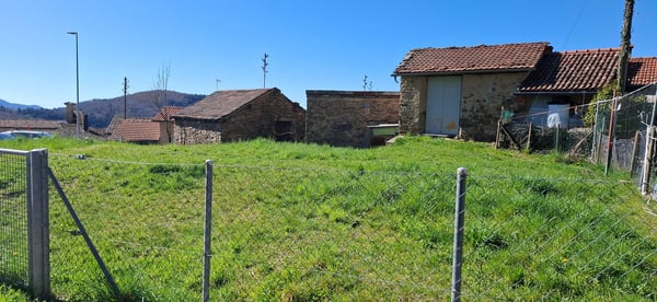 Fescoggia