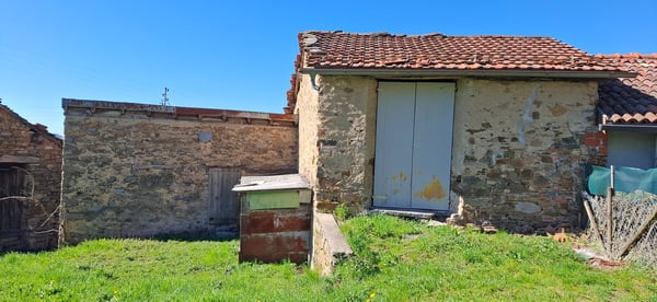Fescoggia