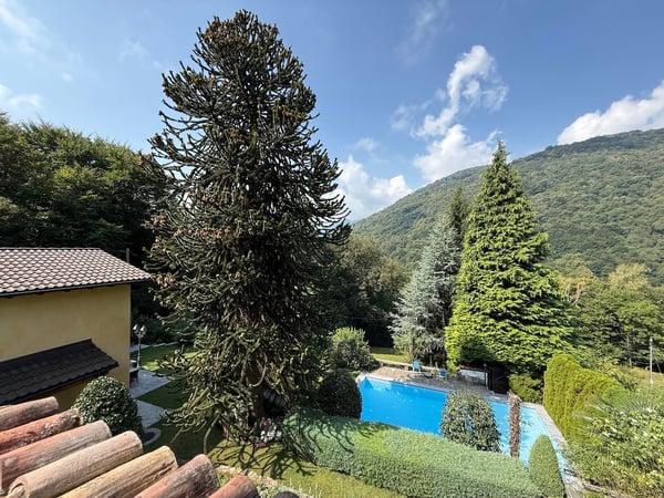 2 Case Unifamiliari con giardino e piscina, in zona idilliaca e tranquilla 7