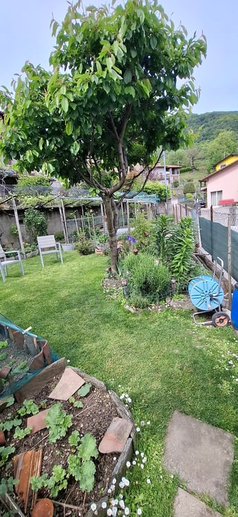 Casa ai margini del nucleo con giardino 3