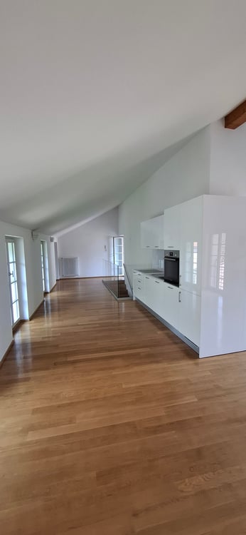 Splendido appartamento nel cuore di Bellinzona con balcone 3