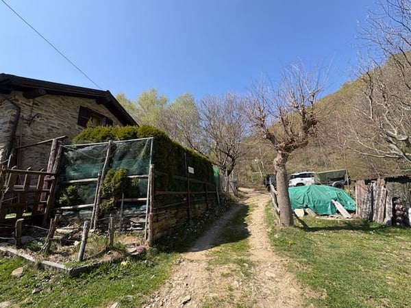 Piccolo Rustico immerso nella natura, in zona tranquilla e soleggiata 4