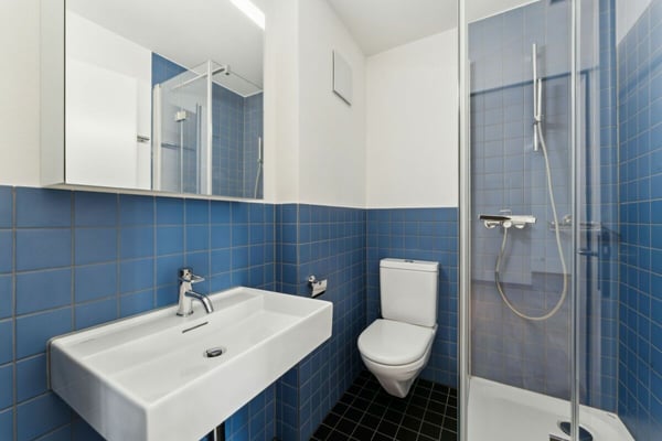 Frisch sanierte 2.5 Zimmer Wohnung mit Loft-Charakter 3