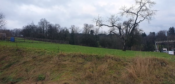 erhöhte Lage | Ruhiges Zuhause mit Fernsicht 5