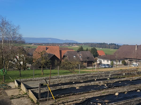 Wohntraum an ruhiger Lage | vier freistehende EFH 4