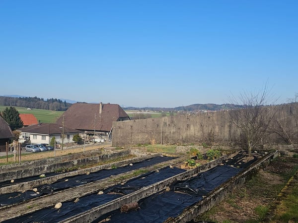 Wohntraum an ruhiger Lage | vier freistehende EFH 6