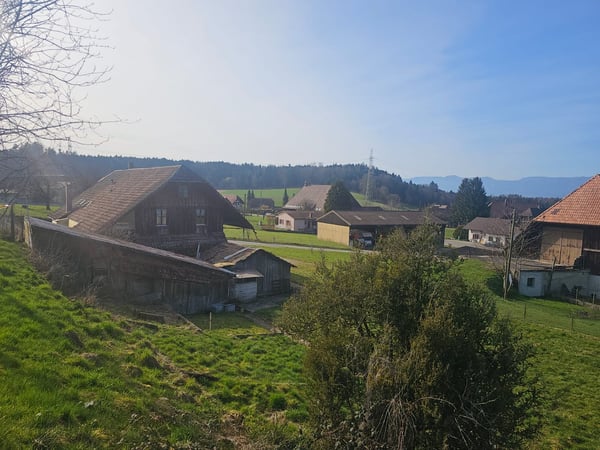 Wohntraum an ruhiger Lage | vier freistehende EFH 3