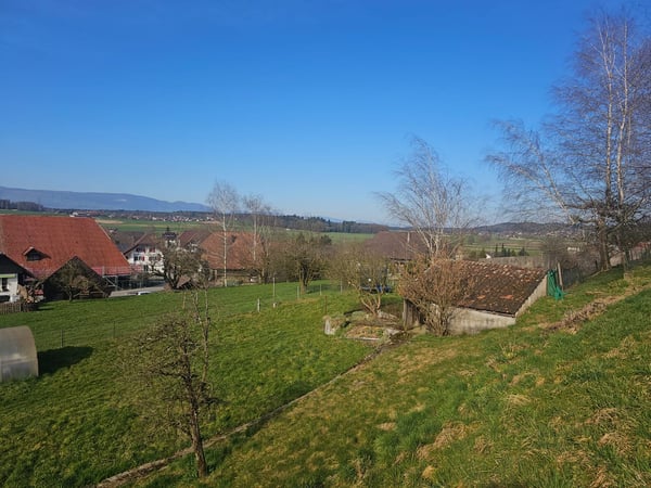 Wohntraum an ruhiger Lage | vier freistehende EFH 1