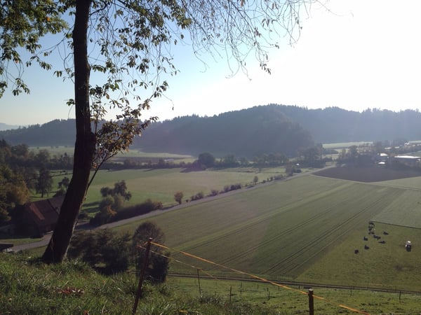Traumhafte Wohnlage mit Einliegerwohnung | Baubewilligung vorhanden 7
