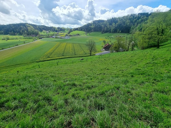 Traumhafte Wohnlage mit Einliegerwohnung | Baubewilligung vorhanden 2