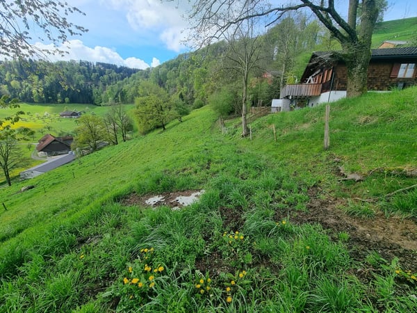 Traumhafte Wohnlage mit Einliegerwohnung | Baubewilligung vorhanden 10