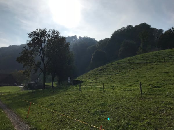 Traumhafte Wohnlage mit Einliegerwohnung | Baubewilligung vorhanden 5