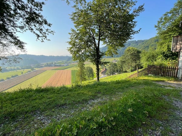 Traumhafte Wohnlage mit Einliegerwohnung | Baubewilligung vorhanden 3