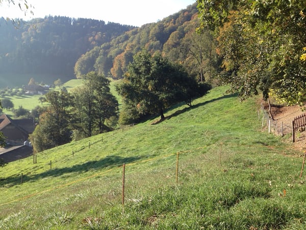 Traumhafte Wohnlage mit Einliegerwohnung | Baubewilligung vorhanden 9