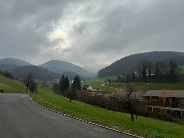 Exklusives D'EFH-Projekt 2