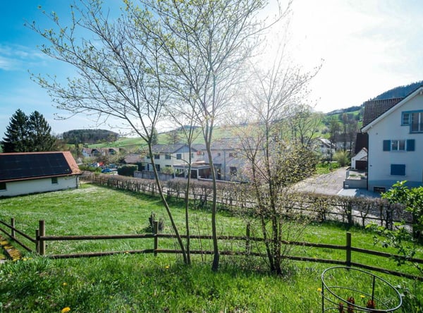 zwei exklusive EFH-Projekte 2