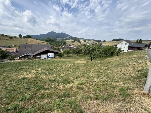 D'EFH + freistehendes EFH an idyllischer und ruhiger Lage 4