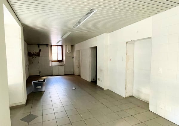 Appartamento duplex + appartamento a reddito + negozio 10