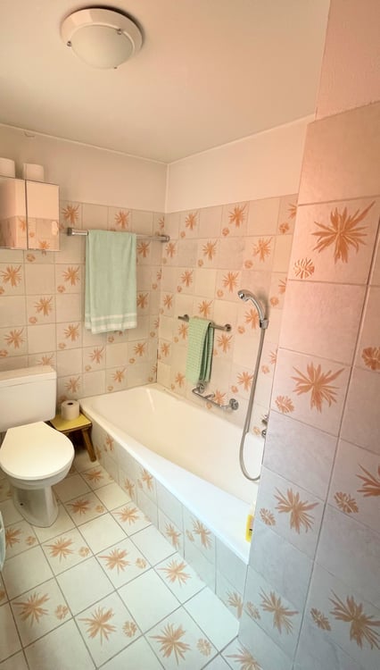 Appartamento duplex + appartamento a reddito + negozio 9