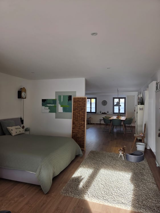 Ampio monolocale completamente ristrutturato in zona molto tranquilla 7