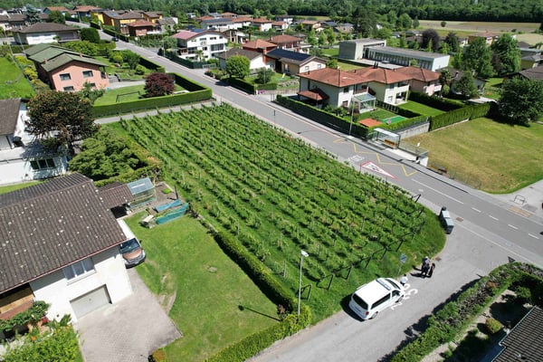 Terreno edificabile in zona comoda ben servita e soleggiata 6