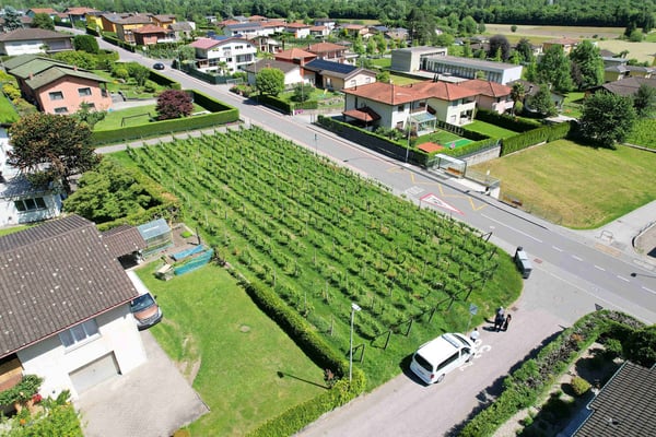Terreno edificabile in zona comoda ben servita e soleggiata 7