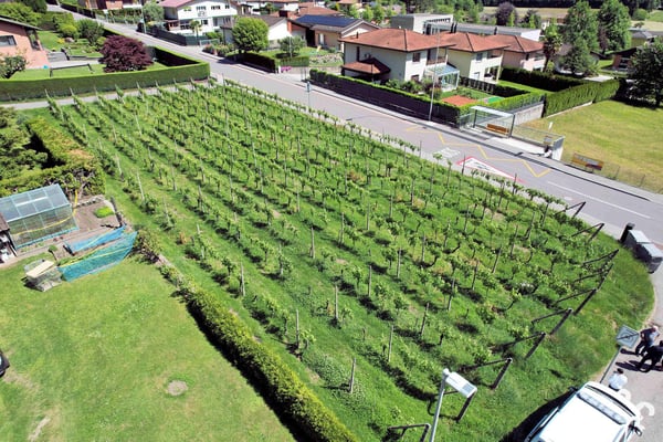 Terreno edificabile in zona comoda ben servita e soleggiata 8