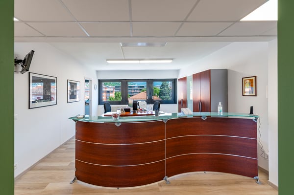 LUMINOSO UFFICIO LUGANO 1