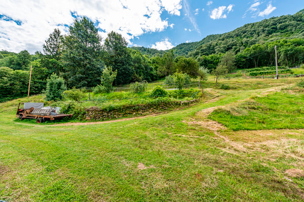 Casa ticinese con 20'000 m di terreno, piscina e rustico 11