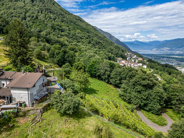 Casa ticinese con 20'000 m di terreno, piscina e rustico 4