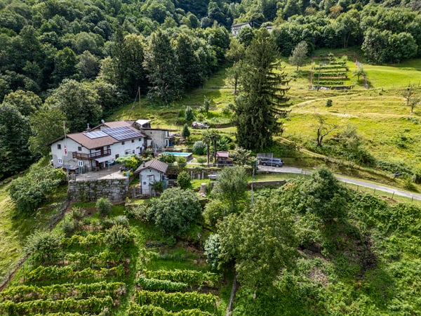 Casa ticinese con 20'000 m di terreno, piscina e rustico 2