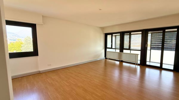 LUMINOSO UFFICIO LUGANO 4