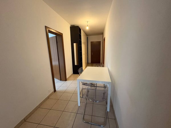Luminoso 2.5 locali parzialmente arredato a Lugano 4
